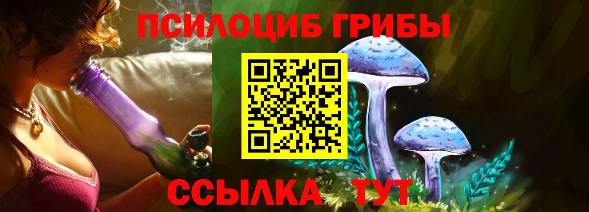 Псилоцибиновые грибы Cubensis  Вход с VPN  Павлово 